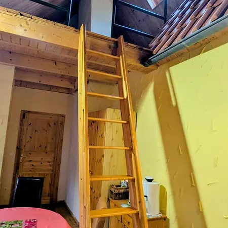 Haus Sturmfried - Sturmvogel Appartamento