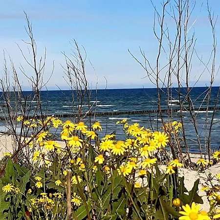 Haus Sturmfried - Sturmvogel Apartment *