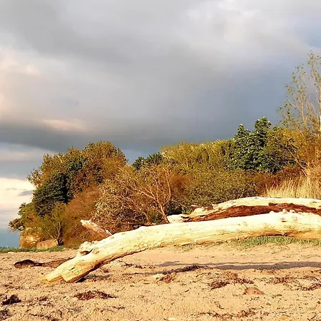 Apartment Haus Sturmfried - Sturmvogel