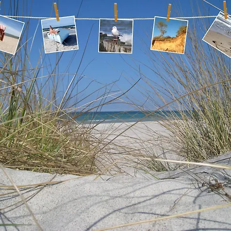 Apartment Haus Sturmfried - Sturmvogel Insel Poel